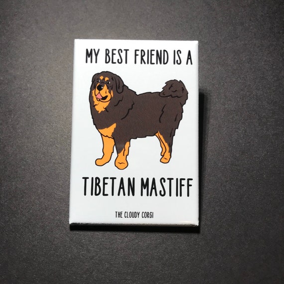 Details about   Tibetan mastiff tibet magnet dog magnet fridge magnet with slate show original title b2 marker