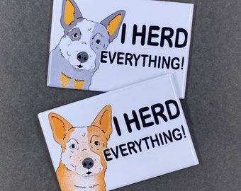 Australian Cattle Dog Magnet, Red Heeler or Blue Heeler,  I Herd Everything Funny Fridge Magnet, Handmade & Hand Illustrated Cartoon Art 2x3