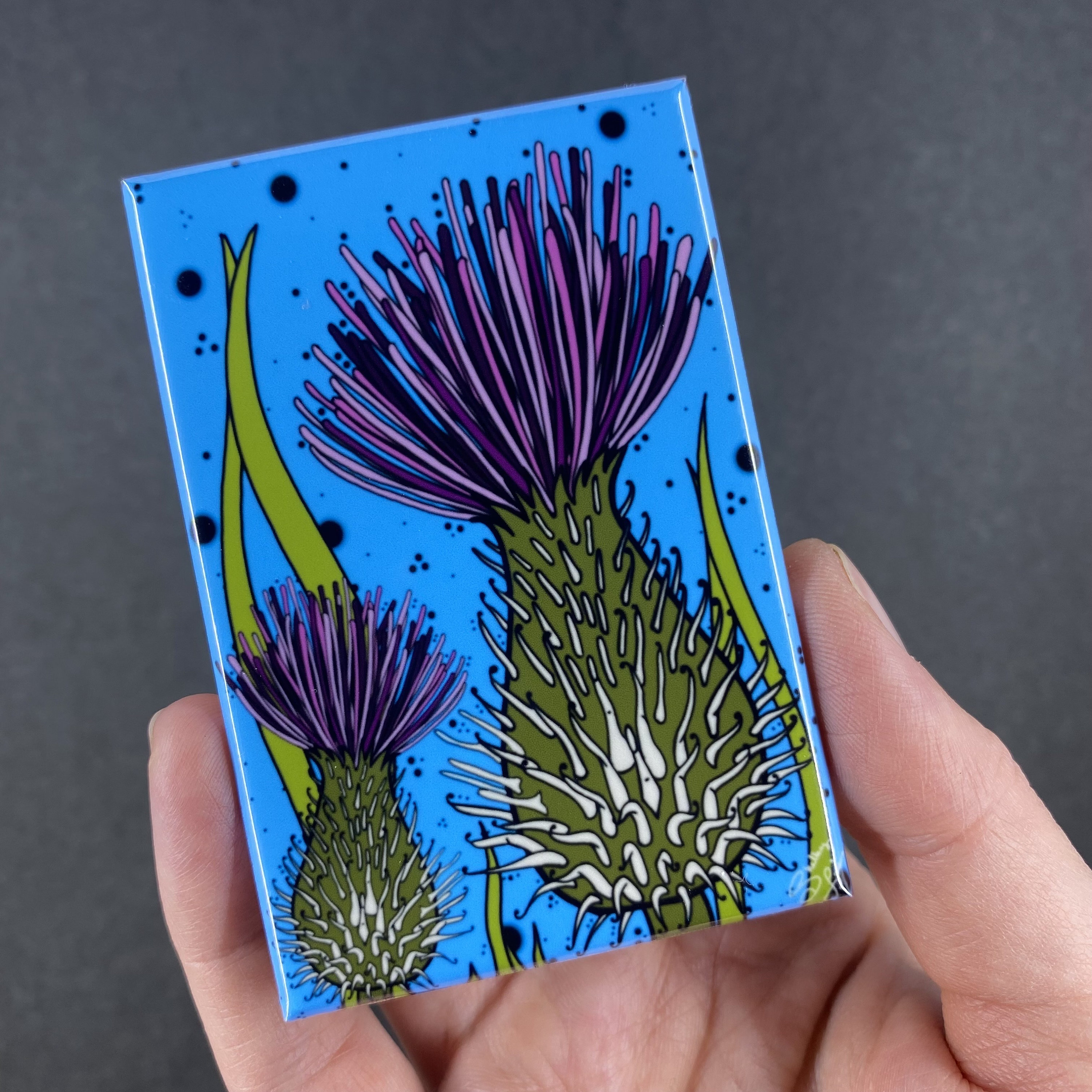 Psychedelic Thistle Magnet, Wildflower Decor, Prairie Flower Print, Thistle  Art, Gift for Hikers & Nature Enthusiasts, Set or Single Magnet