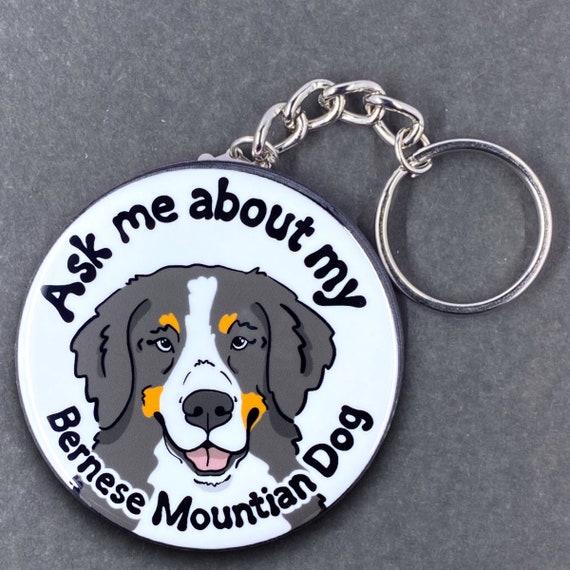 Bernese mountain hotsell dog gear