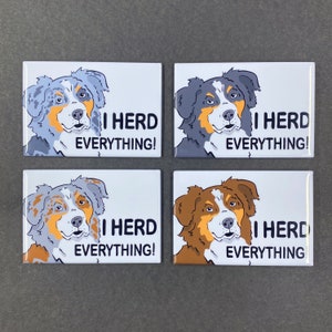 Australian Shepherd Dog I Herd Everything Magnet, 4 Colors Available,  Cartoon Pet Portrait Gift, Dog Kitchen & Office Decor, 2x3" Handmade