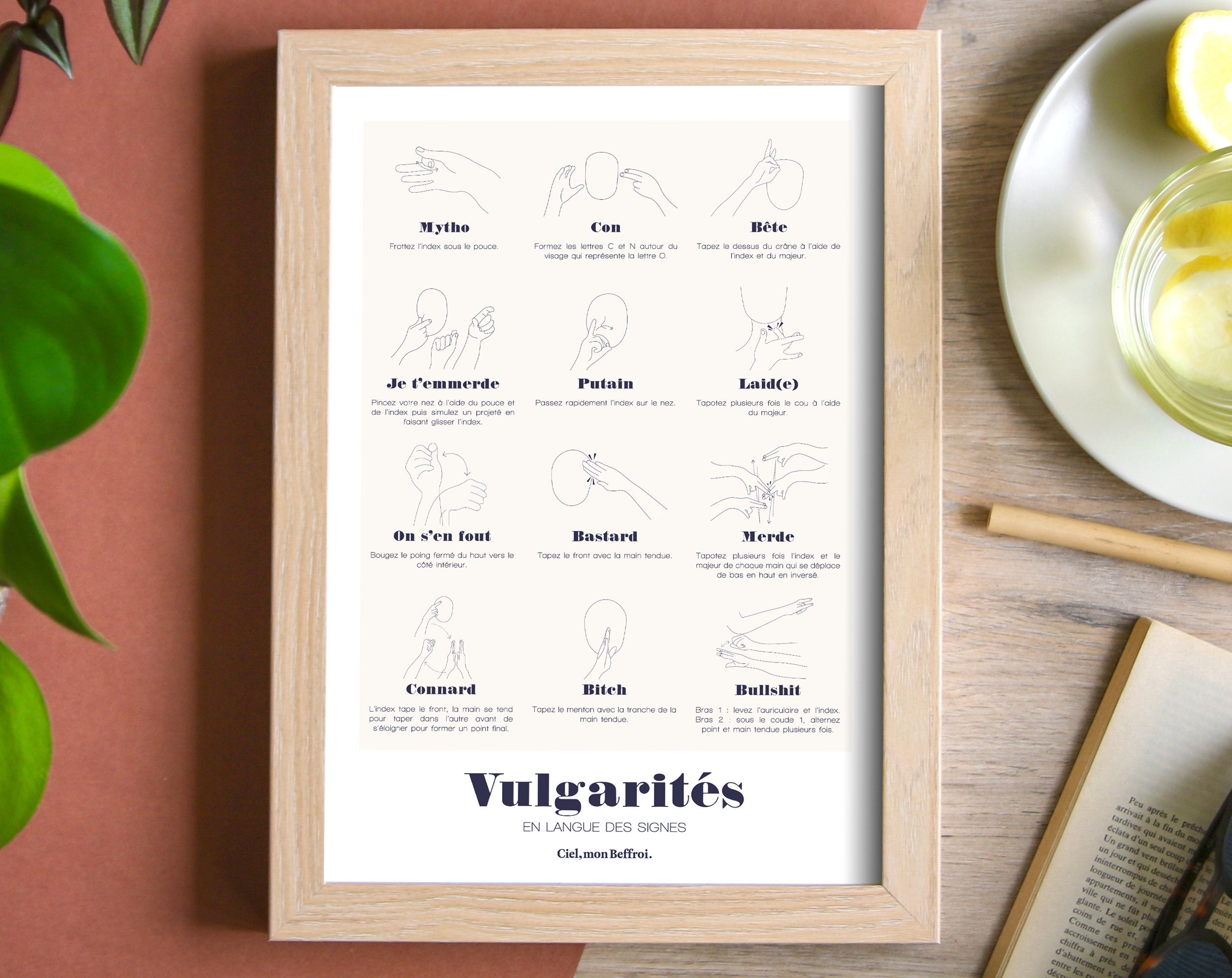 Gros Mots Insulte Langue Des Signes Français Affiche Insultes Langue Des Signes A4 - Etsy