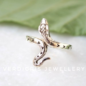 May include: A silver-colored snake ring with a detailed design. The snake's head is raised, and its body wraps around the finger. The ring has a textured pattern and is set against a white surface with a green leaf in the background. The text "VERDIGRIS JEWELLERY" is visible.