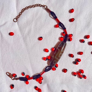 May include: A red and black beaded bracelet with a brown agate stone charm. The bracelet is surrounded by red and black seeds on a white background.