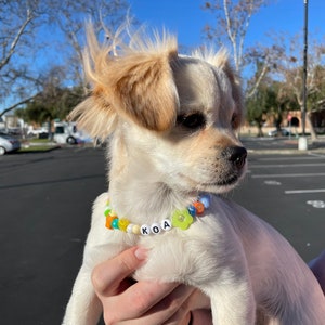 Custom 90s funky beaded pet collar, pet necklace, 2yk pet necklace