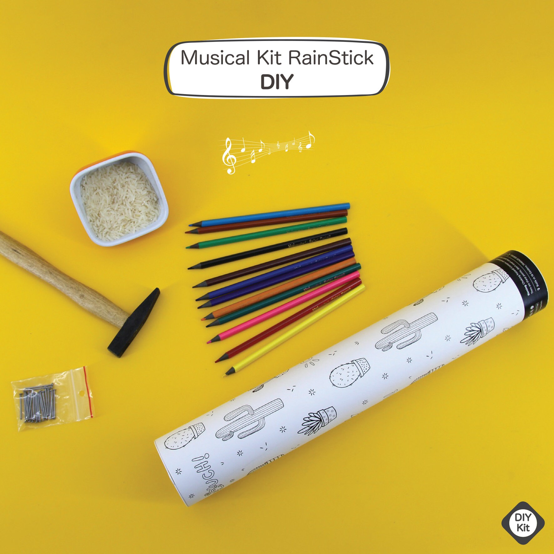 DIY Musical Rainstick Cactus Kit, Girls Craft Kits, DIY Kits at Home ...