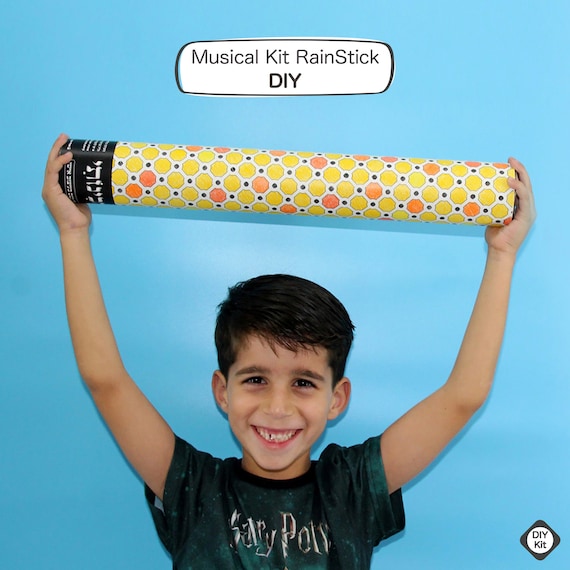 DIY Musical Rainstick Kit for Kids, Kids Craft Kits, DIY Activity Kit, Kids  Coloring Patterns Beehive, Birthday Gifts for Kids 