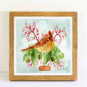 Ohio Print, Ohio Bird, Cardinal Print, State Bird Print, Buckeye Print, Bird Watercolor, Ohio Watercolor