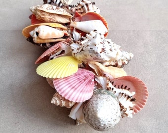 Shell Garland, Coastal Wall Decor, Shell Wall Art, Shells, Beach House Decor, Coastal Decor, Gift for Beach Lovers