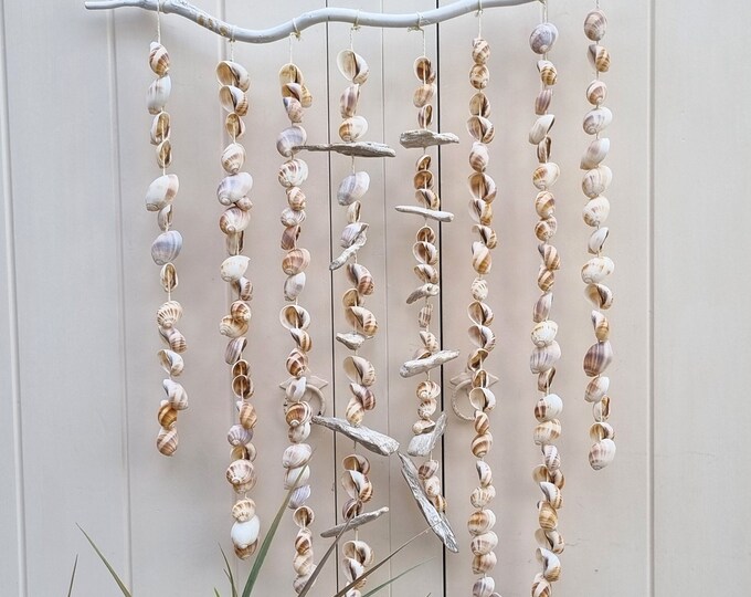 Large Shell Hanger, Coastal Wall Hanging, Driftwood Wall Decor, Shell ...