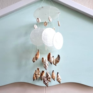 Könnte beinhalten: Ein Windspiel aus weißen Muscheln mit mehreren Ebenen aus weißen und braunen Muscheln, die unten hängen.
