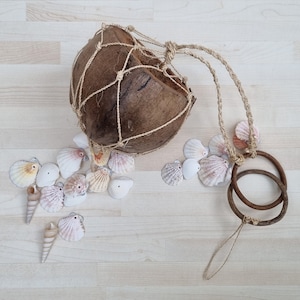 Puede incluir: Un macetero de cáscara de coco natural con un colgador de cuerda macramé y una colección de conchas marinas de varios tamaños y colores.
