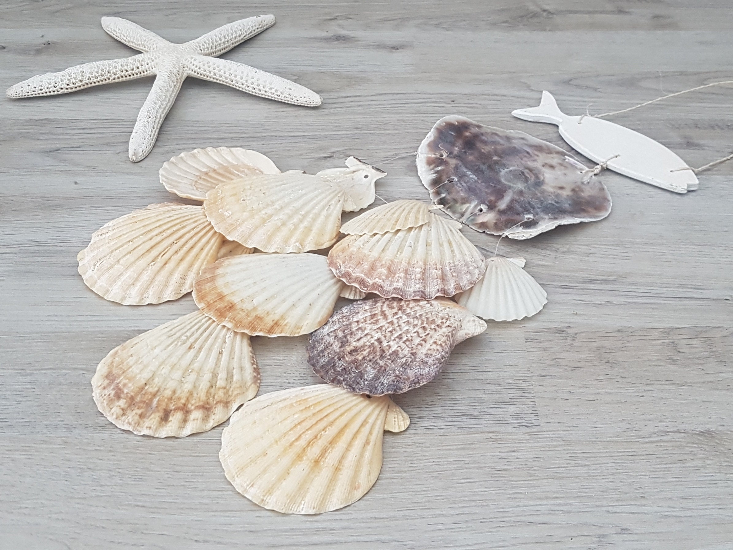 Wooden Fish & Shell Wind Chime Coastal Mobile Seashell Wall | Etsy