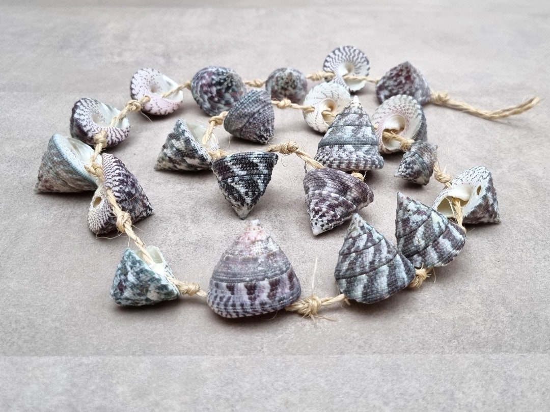 Shell Garland, Coastal Wall Decor, Shell Art, Coastal Ornament, Beach