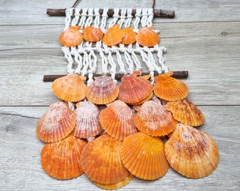 Orange shell Hanger, Shell Wall Decor, SeaShell Wind Chime