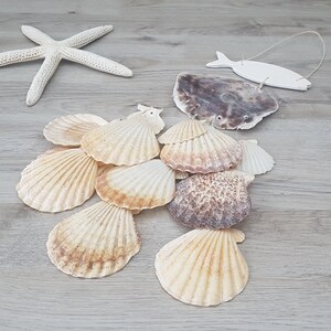 Wooden Fish & Shell Wind Chime Coastal Mobile Seashell Wall | Etsy