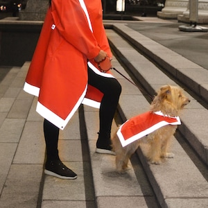 Reflective vest for dogs. Reflective Dog Vest, Custom Dog Clothes, Dog safety vest. Gift for Dog Owner. Dog Custom Clothes. image 1