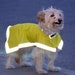 see more listings in the Reflective dog outfit section