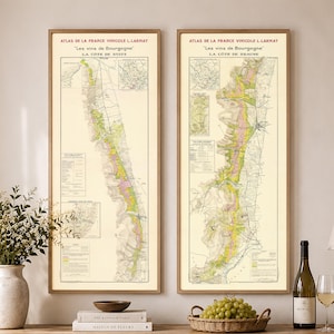 May include: Two framed vertical wall art prints featuring vintage maps titled Atlas de la France Vinicole L. Larmat Les vins de Bourgogne. The maps display detailed geographical regions in shades of green, yellow, and pink on a cream background.