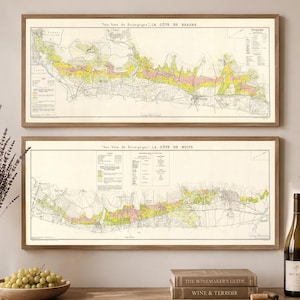 May include: Two rectangular framed wall maps titled Les Vins de Bourgogne, La Côte de Beaune and La Côte de Nuits, featuring detailed topographical terrain with yellow and pink color-coded regions, black text, and thin wooden frames.