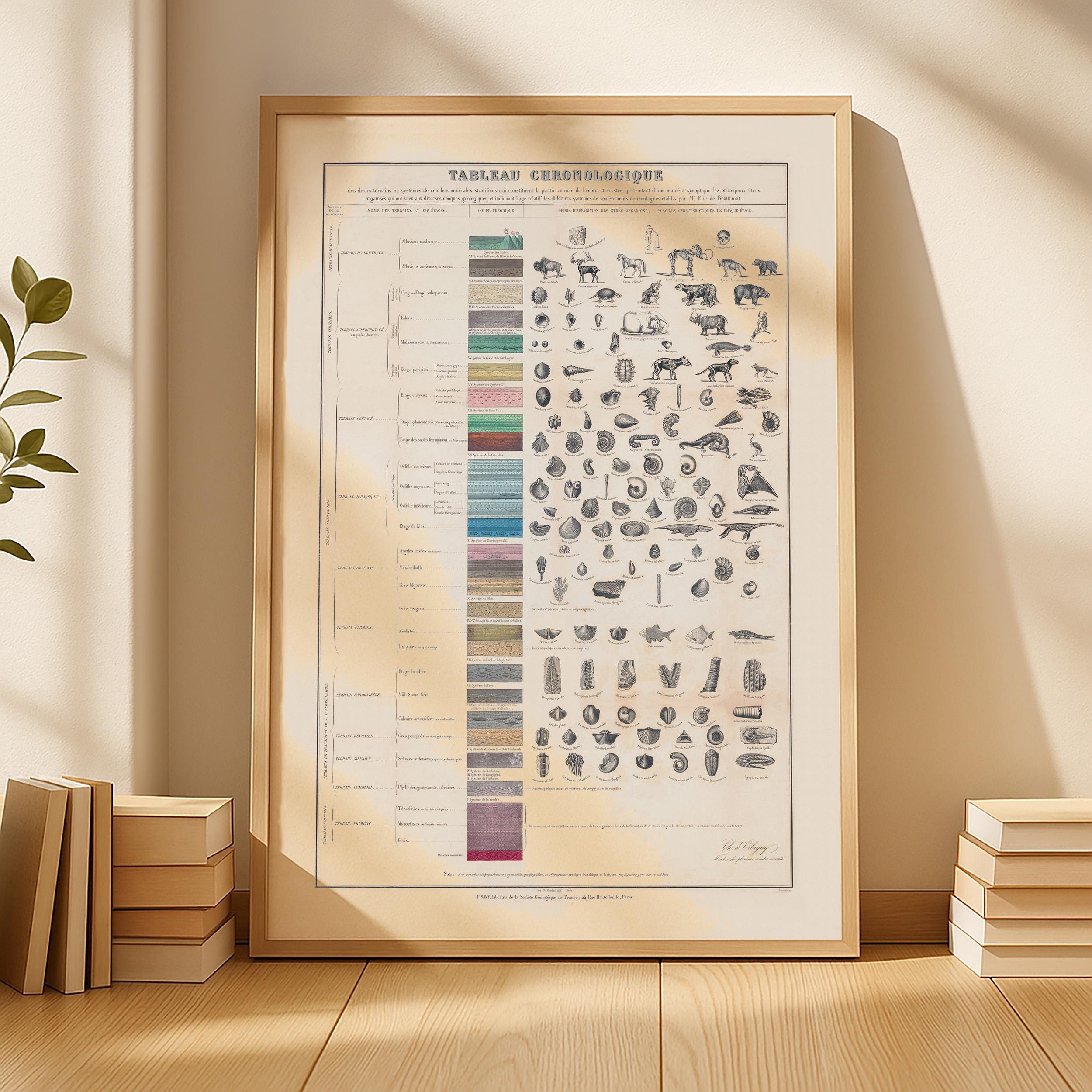Vintage Fossil Chart Poster – Tableau Chronologique – Paleontology Wall Art – Geological Evolution Print – Natural History Decor