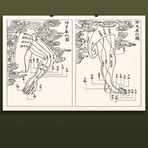 Acupuncture Chart Ancient Chinese Poster – Meridians & Pressure Points ...