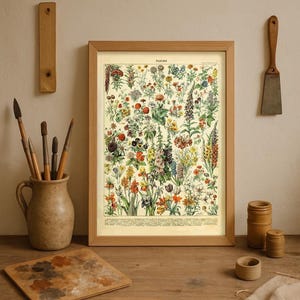 Bloemen botanische vintage kaartposter - Adolphe Millot's Floral Collection