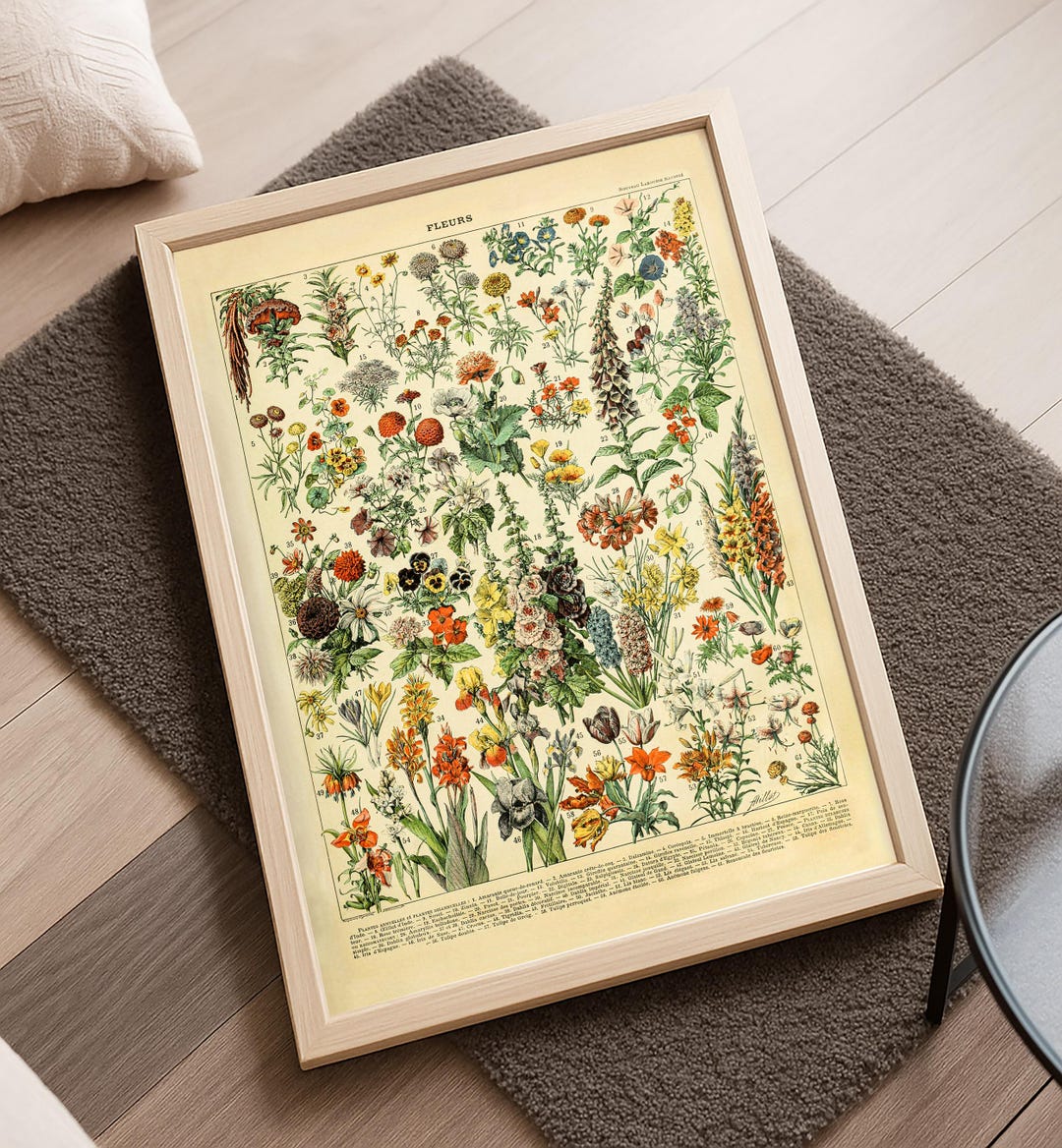 Flowers Botanical Vintage Chart Poster - Kitchen Wall Art - Adolphe ...