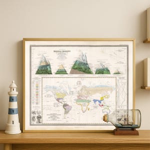 Geografisk utbredning av växter – Vintage botanisk geografikarta – Vetenskaplig väggkonst – Antik växtklassificeringstabell
