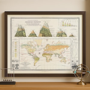 May include: A framed vintage map print with a dark brown frame. The map features a world map and diagrams of vegetation. A Newton's cradle and a brass globe are on the wooden surface in front of the map.