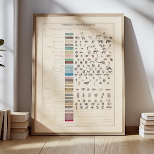 affiche vintage de carte des fossiles - tableau chronologique - art mural paléontologie - impression évolution géologique - décoration d'histoire naturelle