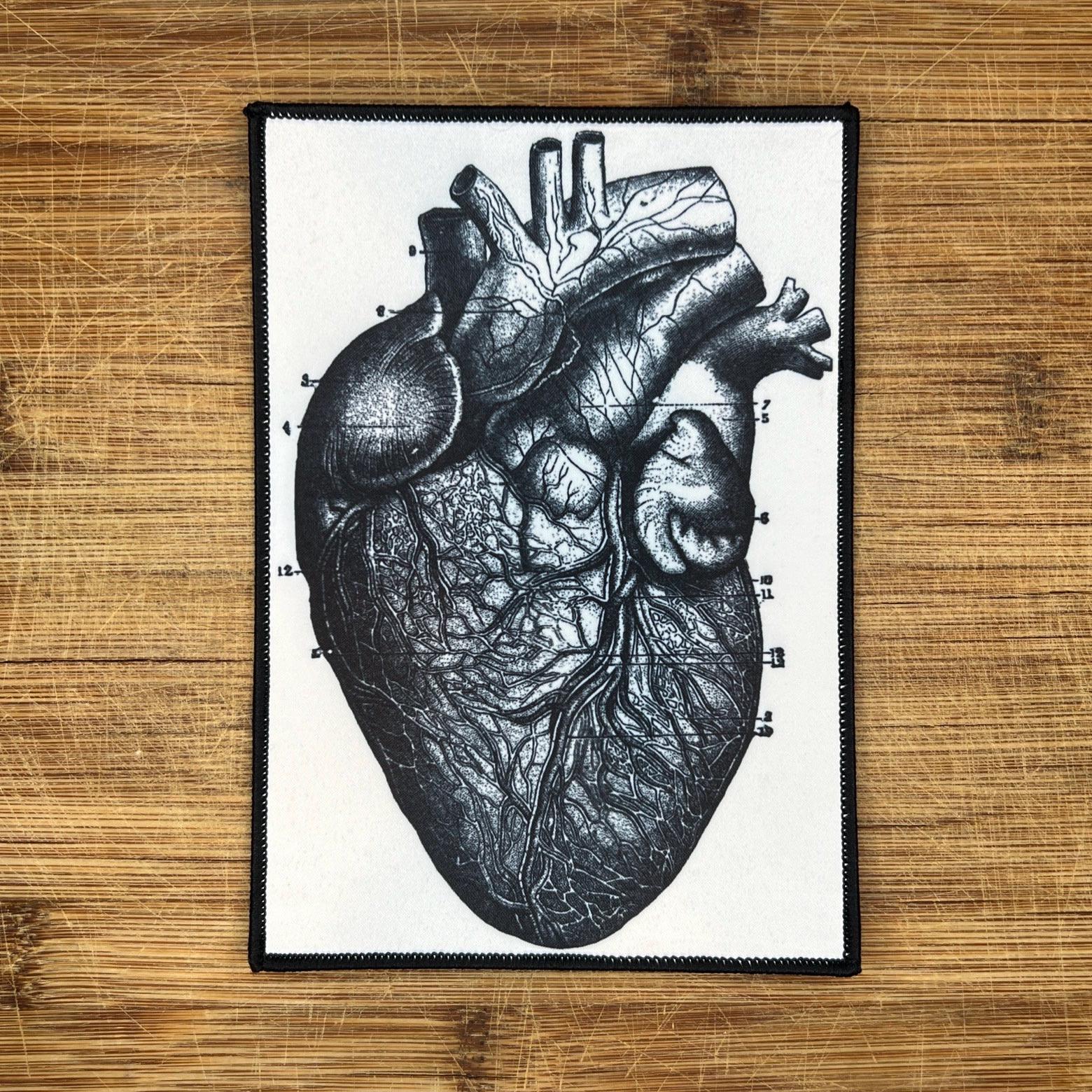 Anatomical Heart Patch – Anatomy Iron On, Vintage Illustration Lab Coat ...