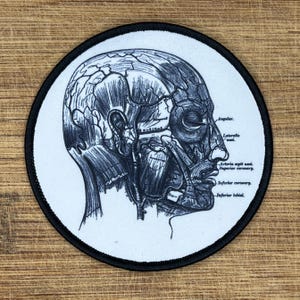 Anatomical Skull Iron-On Patch – Vintage Medical Embroidered Appliqué – 3&quot; Gothic Skeleton Badge for Jackets and Bags