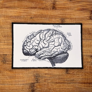 6.25x3 Inch Anatomical Brain Patch - Sublimated Iron-On Patch for DIY Clothing, Bags & Accessories