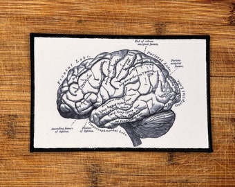 Brain Anatomy Patch – Anatomical Brain Iron On, Neuroscience Medical Student Gift, Vintage Science Lab Coat Patch