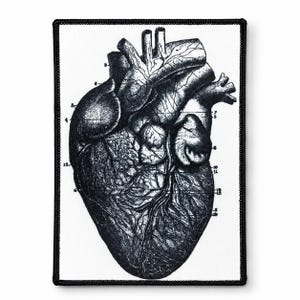 Anatomical Heart Patch – Anatomy Iron On, Vintage Illustration Lab Coat Patch, Medical Student Gift