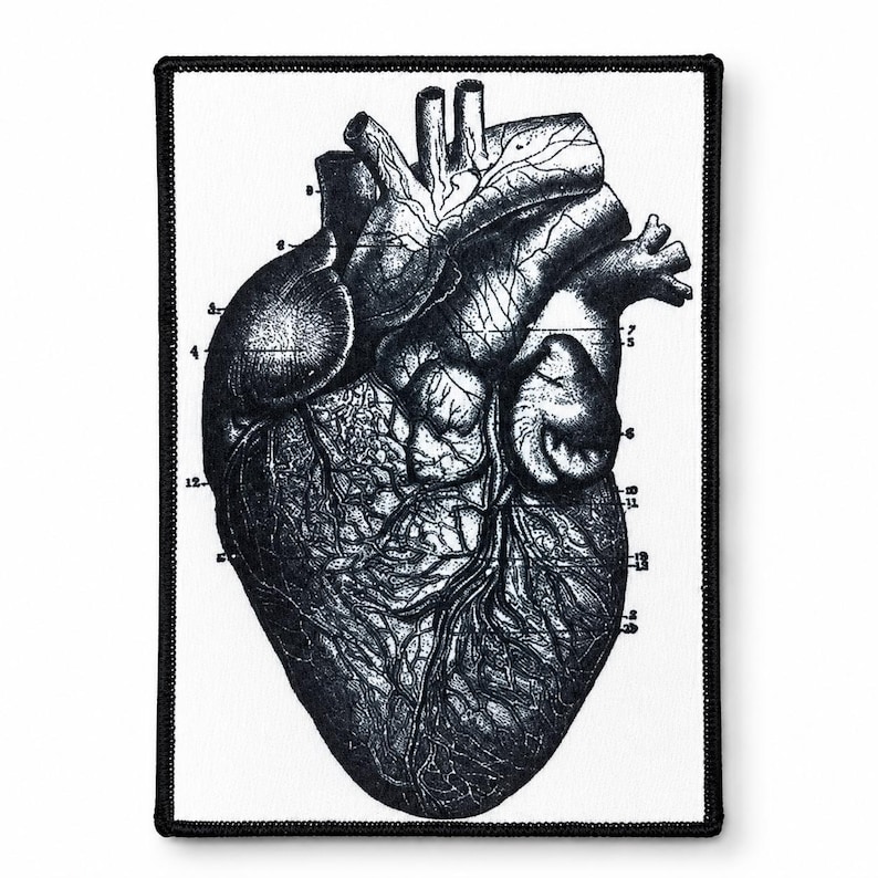 Anatomical Heart Patch – Anatomy Iron On, Vintage Illustration Lab Coat ...