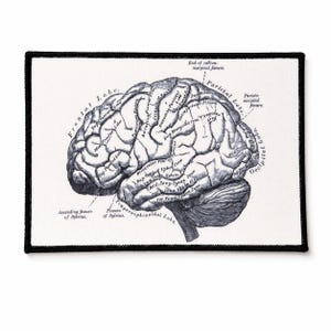 Brain Anatomy Patch – Anatomical Brain Iron On, Neuroscience Medical Student Gift, Vintage Science Lab Coat Patch