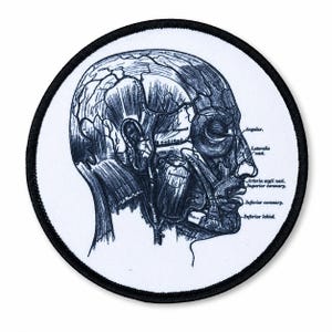 Skull Patch Iron On Anatomy Diagram Medical Art Oddities Applique 3in