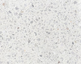 Elba Ice White 16x16 Terrazzo Tile (4x4 size sample)