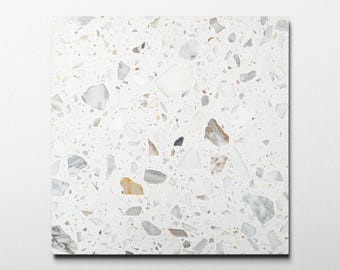 Asinara 16x16 Terrazzo Tile (4x4 size sample)