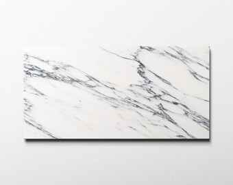 Arabescato Corchia 12x24 Polished Tile (small Sample)