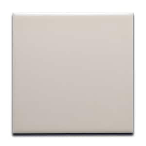 Eggshell White 6x6 - Sample