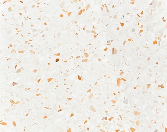 Salina 16x16 Terrazzo Tile (4x4 size sample)
