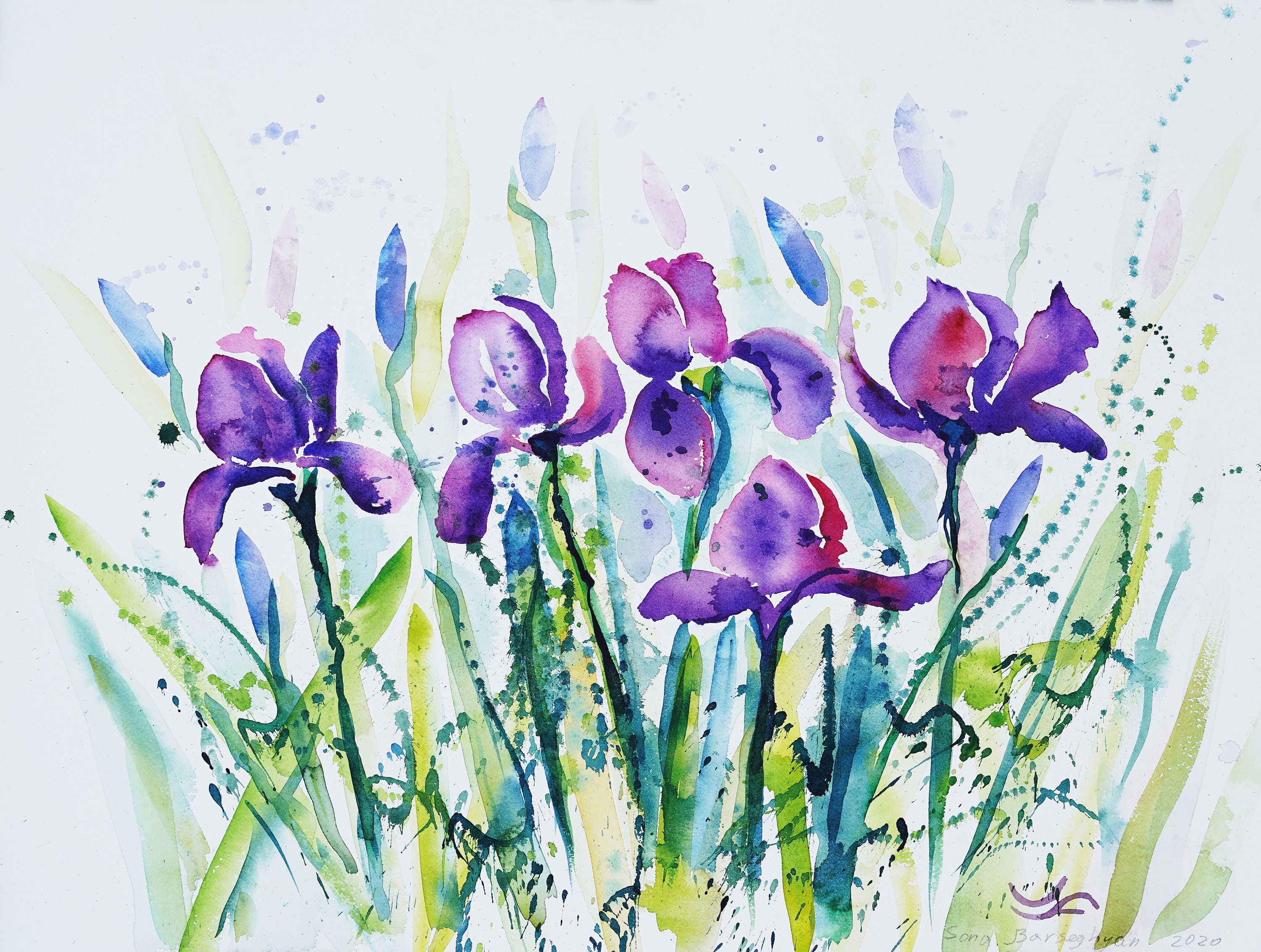 アイリス、オリジナル水彩画、18 x 24 インチ。 - Etsy 日本