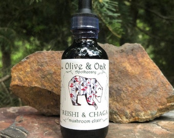 Reishi & Chaga Elixir | Organic, Wild, Dual extract