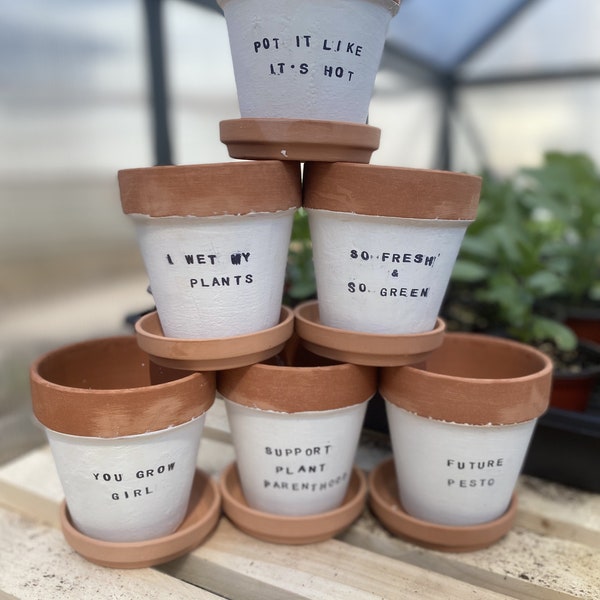 Plant Pun Pots Etsy