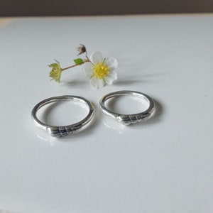K&ouml;nnte beinhalten: Zwei silberne Ringe mit einem strukturierten Design, das an eine Muschel erinnert, auf einer wei&szlig;en Oberfl&auml;che mit einer kleinen wei&szlig;en Blume.