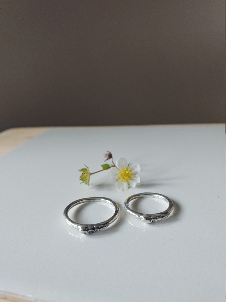K&ouml;nnte beinhalten: Zwei silberne Ringe mit einem strukturierten Design, das an eine Muschel erinnert, auf einer wei&szlig;en Oberfl&auml;che mit einer kleinen wei&szlig;en Blume.