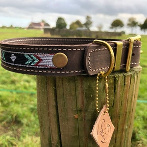 May include: A brown leather dog collar with a decorative turquoise, white and black woven band. The collar has a brass buckle and a brass D-ring. A leather tag with a bird design is attached to the collar.
